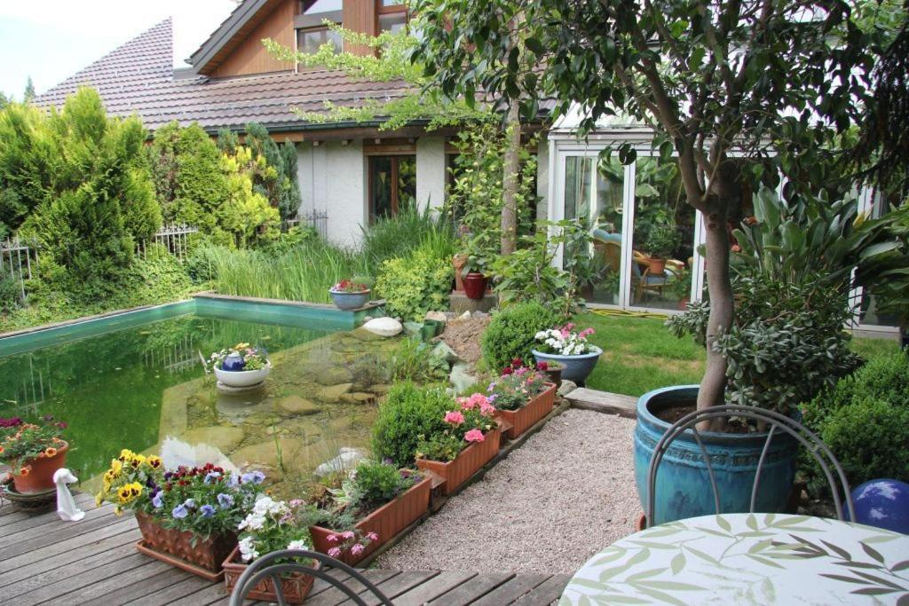 Bed & Breakfast Wepfer Grut ภายนอก รูปภาพ